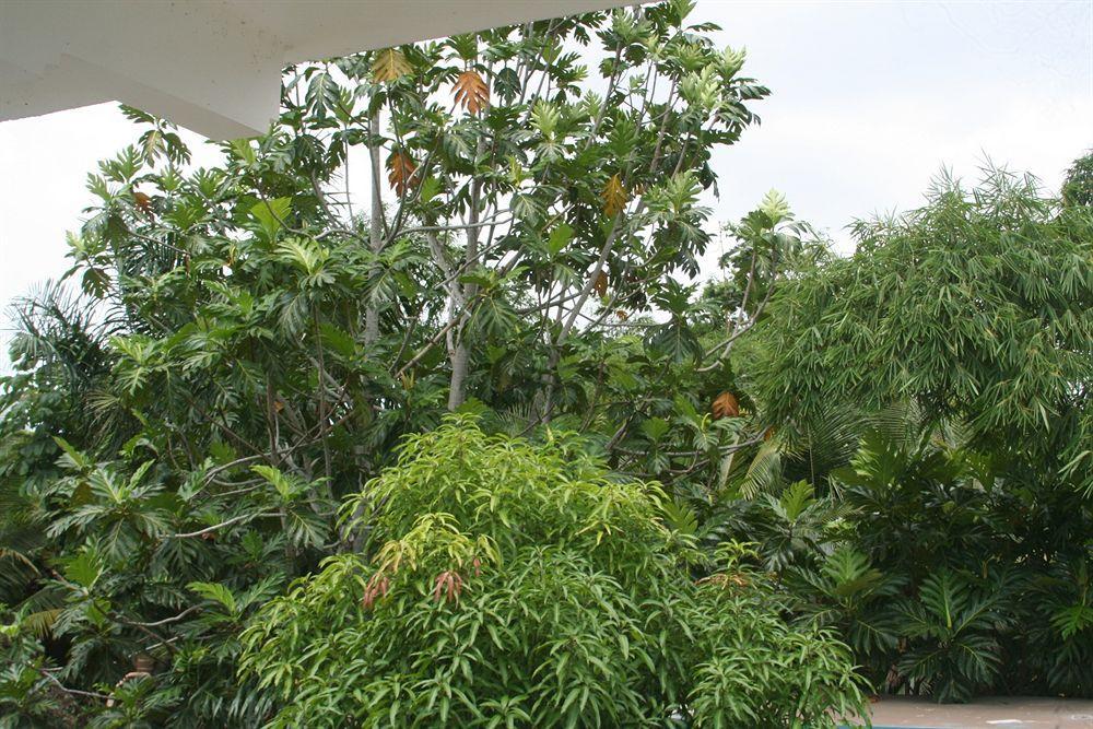 Pure Oasis Resort Negril Buitenkant foto