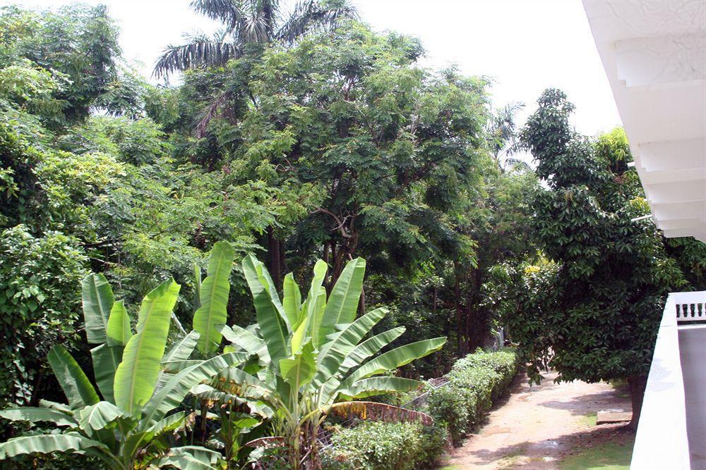 Pure Oasis Resort Negril Buitenkant foto
